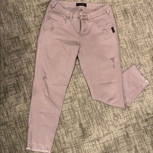Silver Jeans Avery Skinny Crop